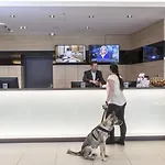 Staycity - 3* Heidelberg